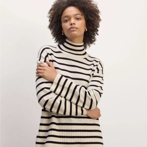 100% cashmere turtleneck from everlane (xs)